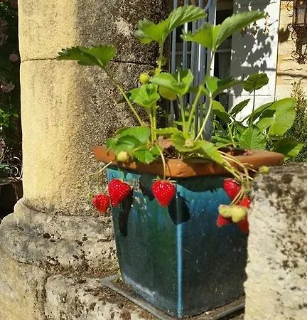 Bed & Breakfast La Demeure Du Coeur De Lion